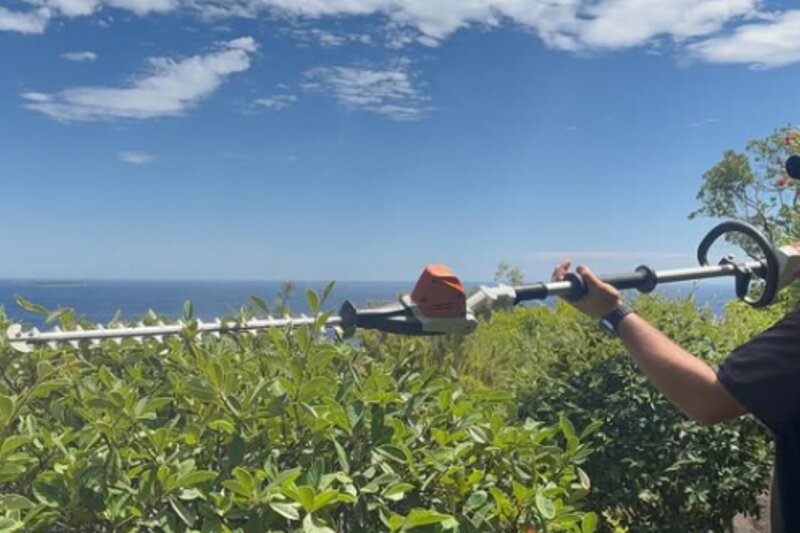 Haie taillée avec vue mer par La Boîte Verte