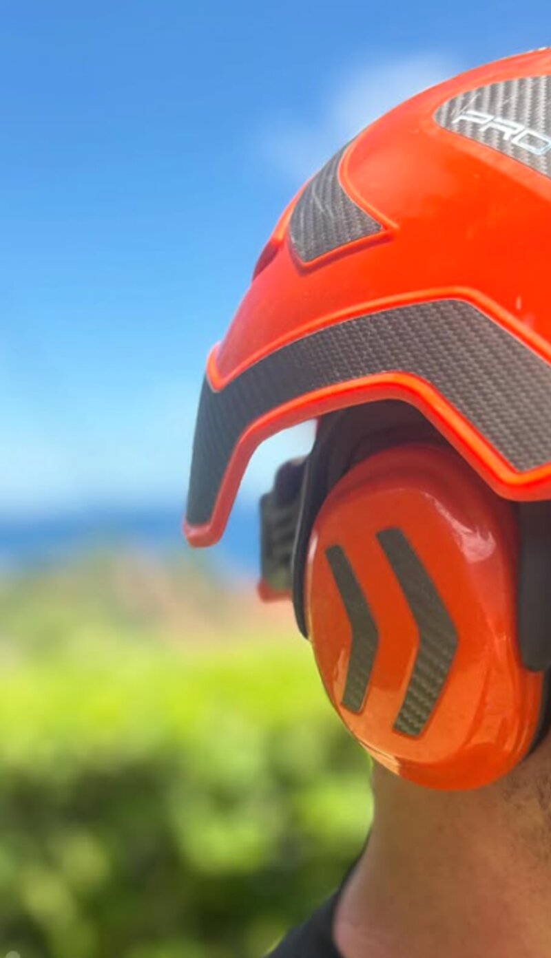 Jardinier de La Boîte Verte en taille de haie, équipement de protection